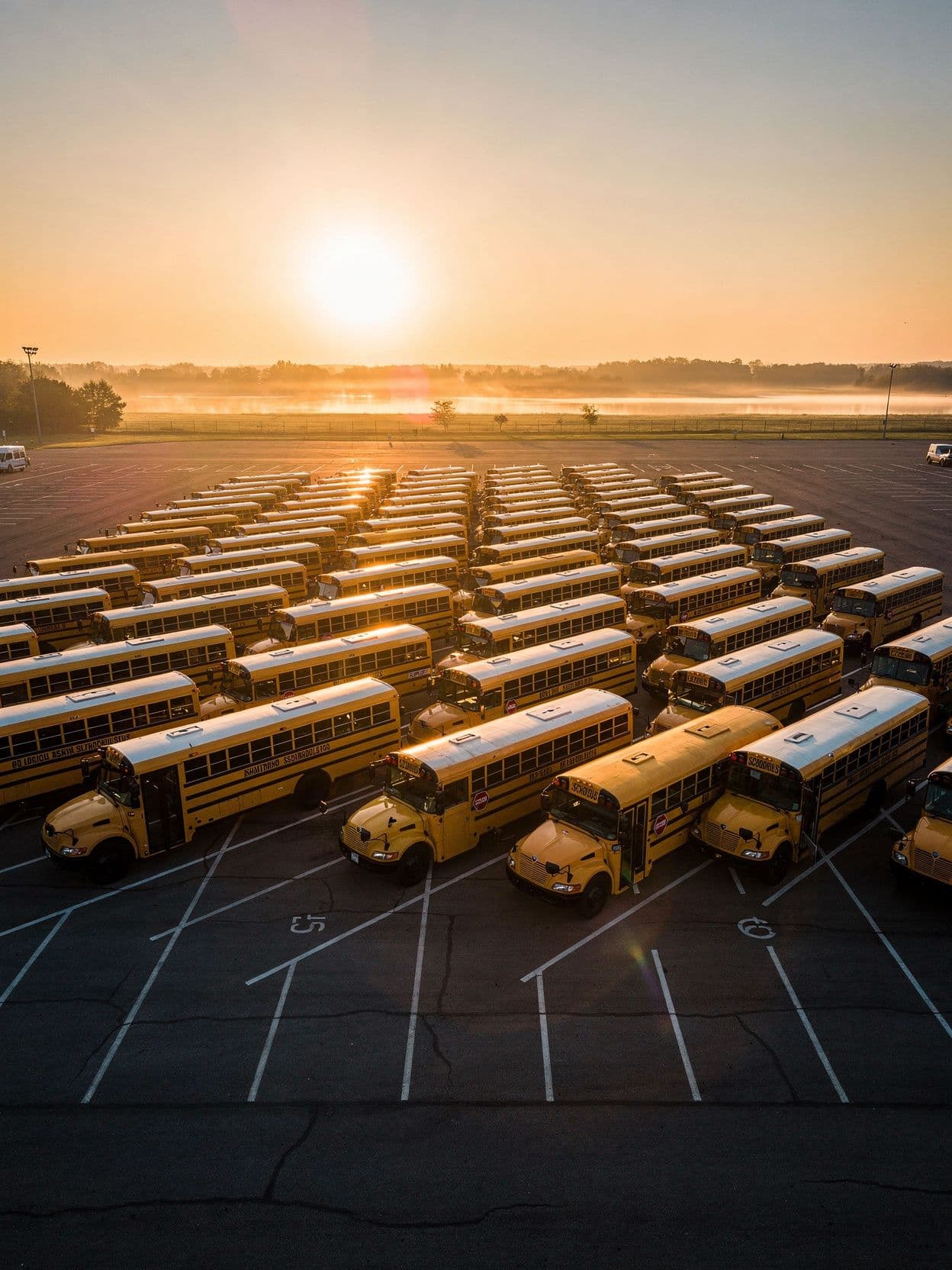 From Daily Transportation Chaos to Operational Control